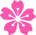Sakura Sushi Logo